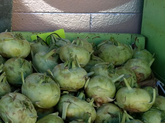 kohlrabi ($0.59 / lb.) box of kohlrabi